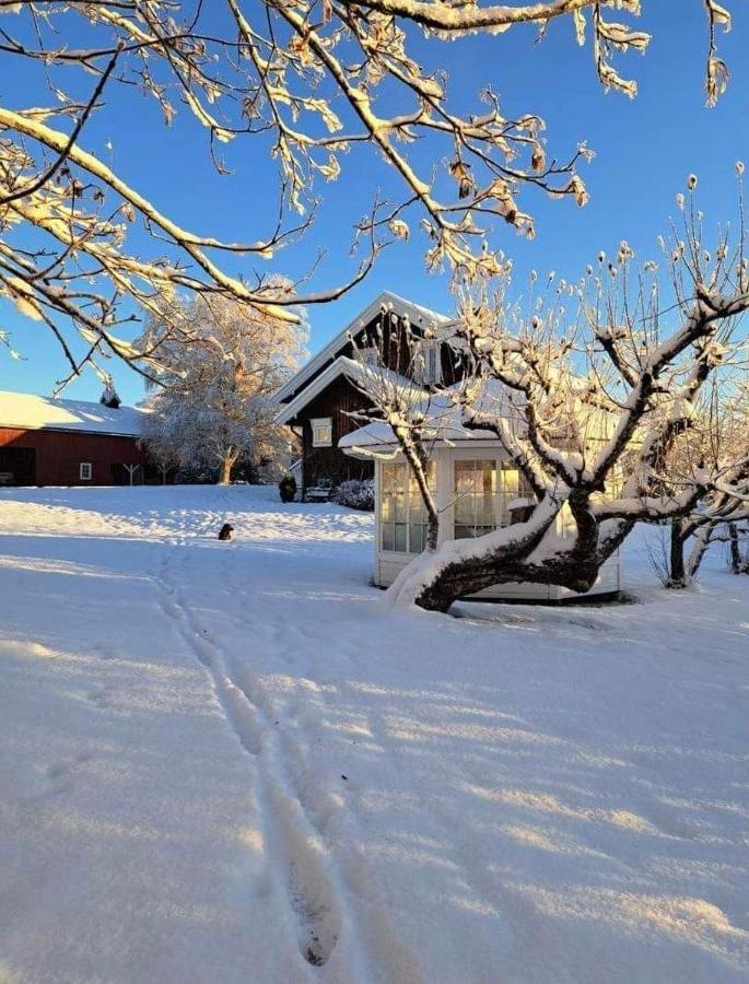 Bjorke Ostre Villa Loten Exteriör bild